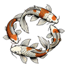 Koi Harmony: The Yin-Yang Splash